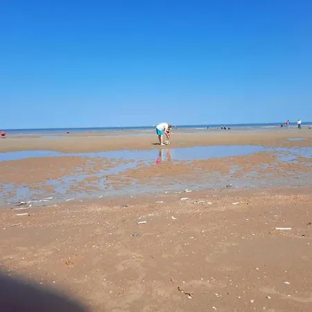 Near Dunes And Sea, Cleaning Included 아파트